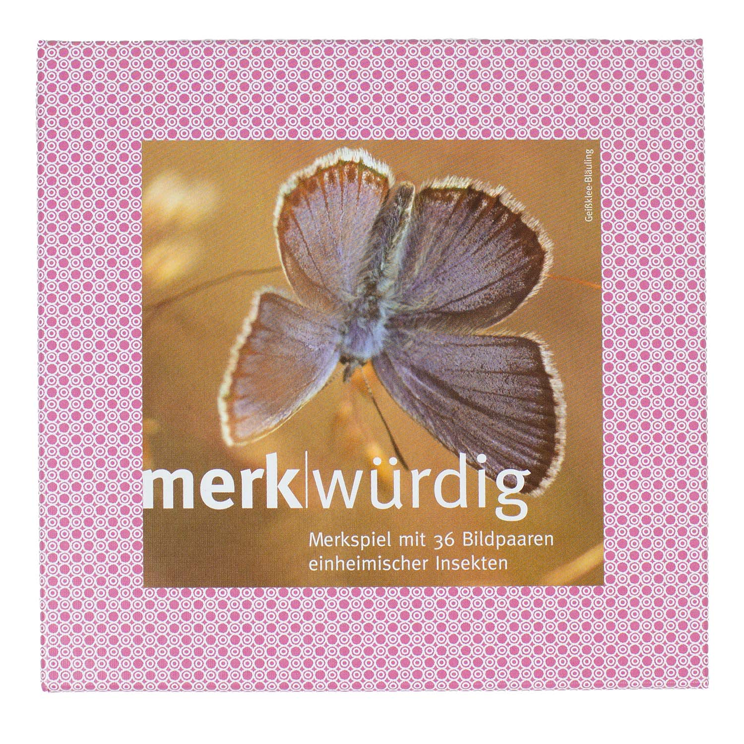 Merk-Spiel einheimische Insekten