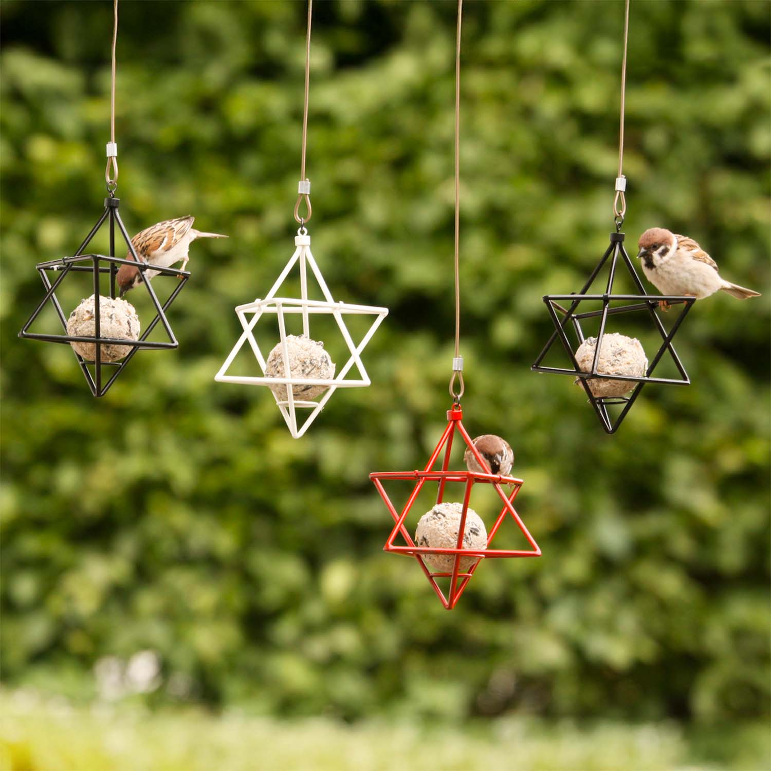 Wildlife Garden Meisenknödelhalter Stern weiß
