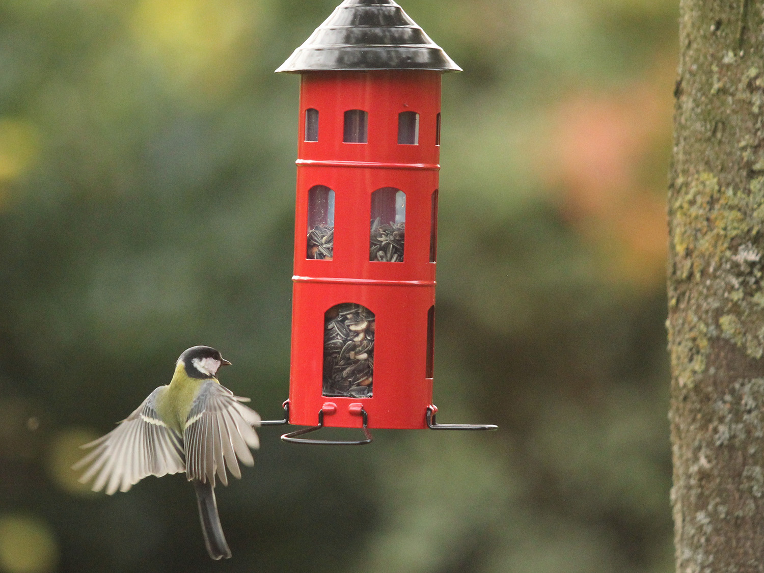 Vogelfutterspender