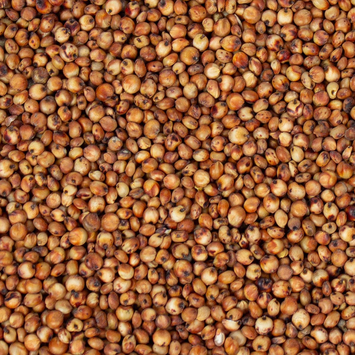 2,5 kg