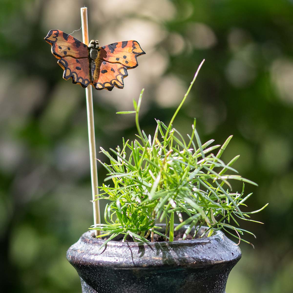 C-Falter handgeschnitzter Schmetterling mit Magnet