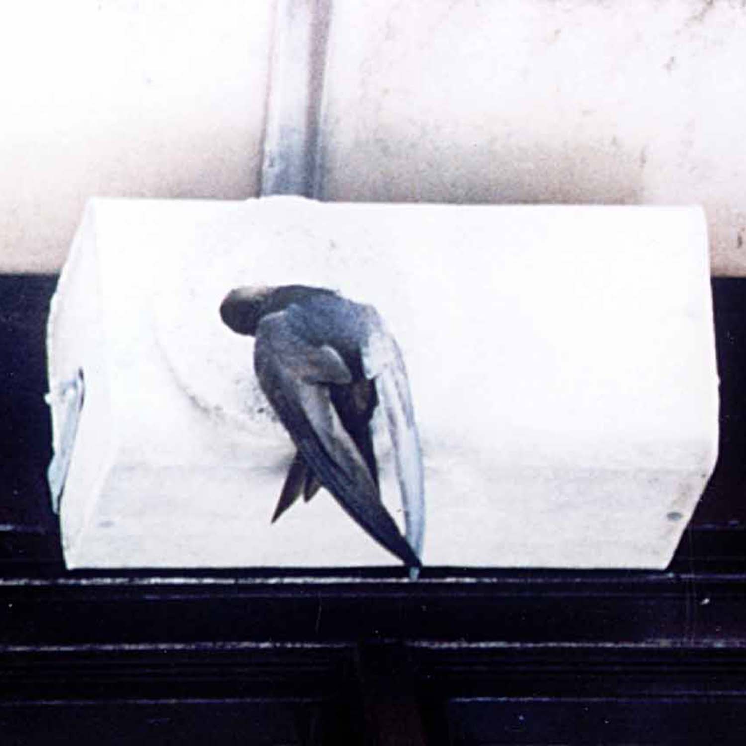 Schwegler Mauersegler-Nistkasten Nr. 17 einfach