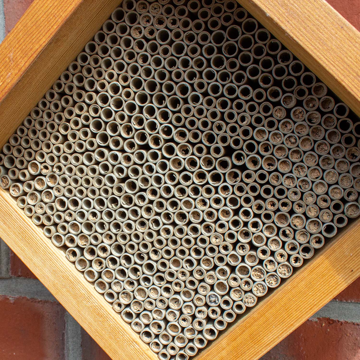 Pappröhrchen für Insektenhotel 5 mm 100 Stück