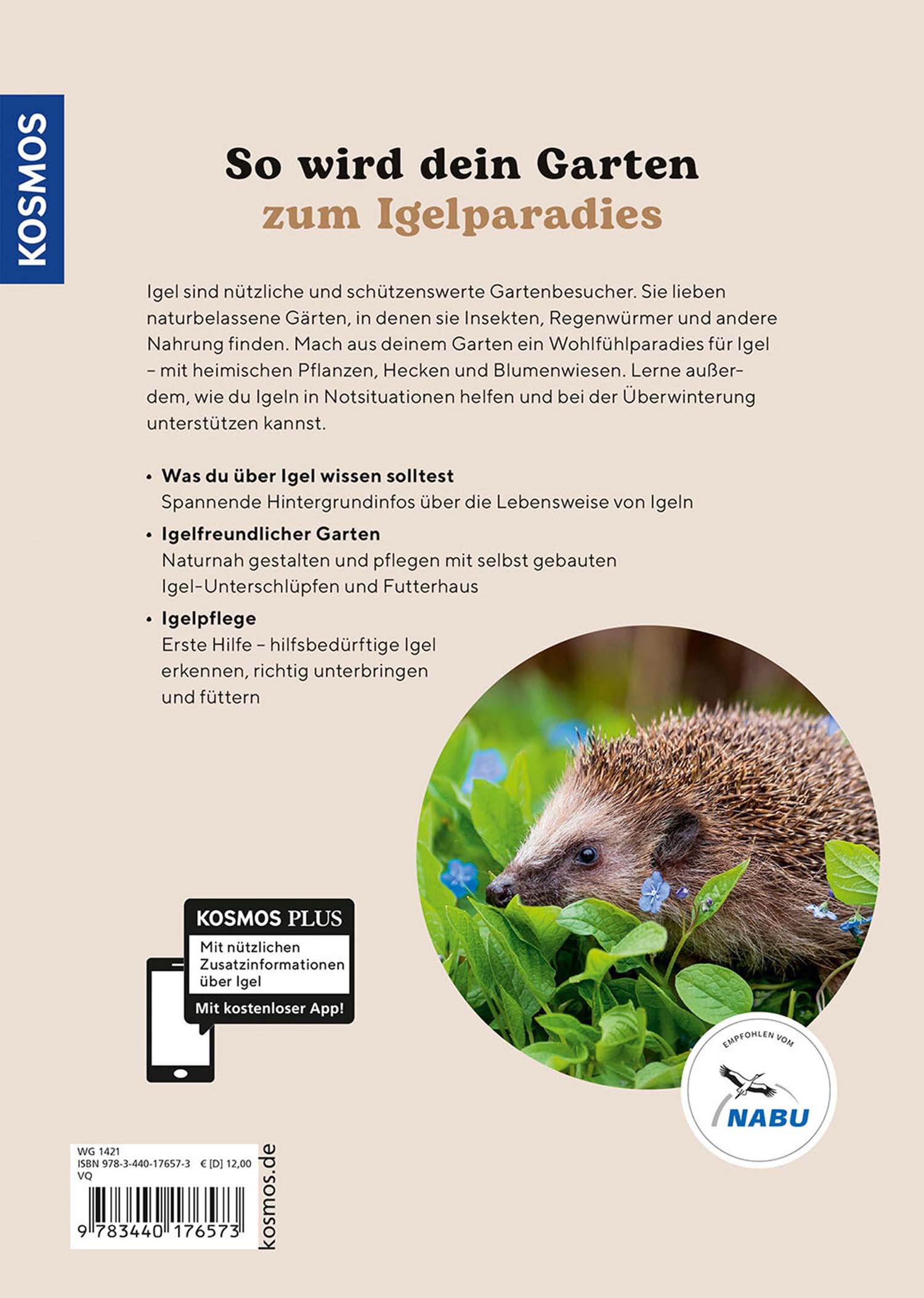 Igel im Garten - So kannst du ihnen helfen - Kosmos