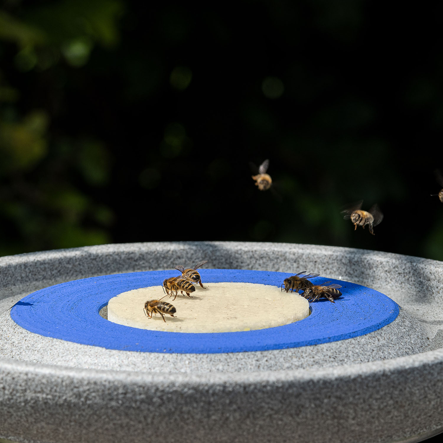 Insektenstation aus Granit - Insektentränke und Futterstation