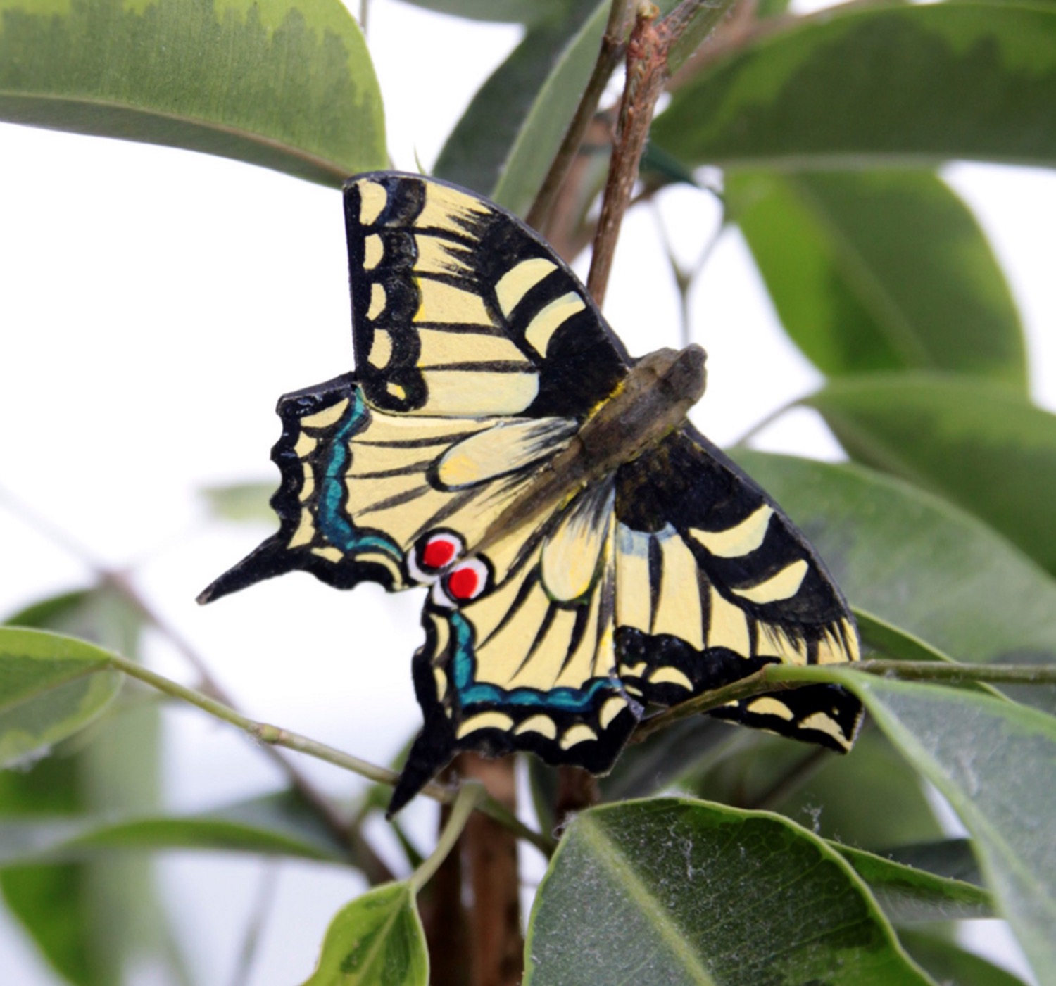 Schwalbenschwanz handgeschnitzter Schmetterling mit Magnet