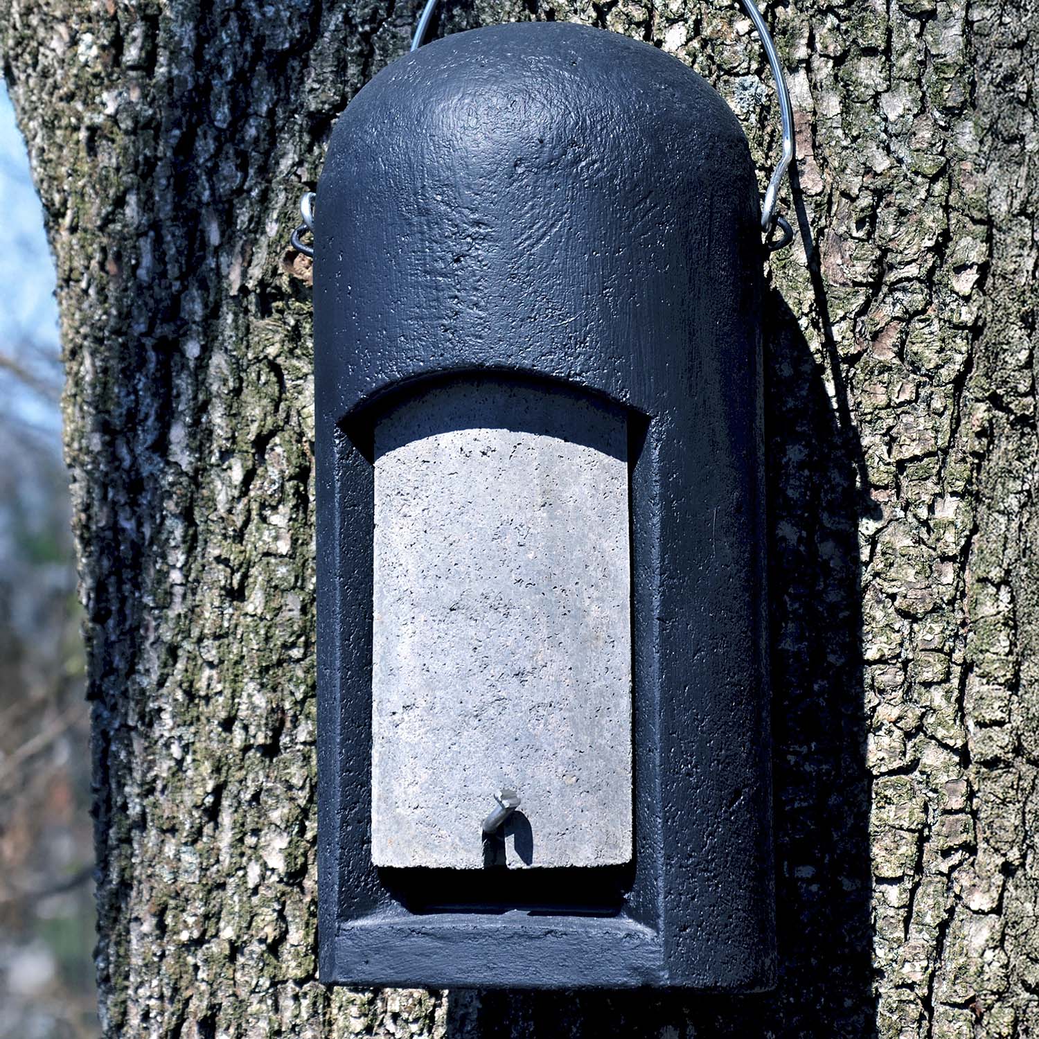Schwegler Ersatzvorderwand für Kleinfledermaushöhle 3FN