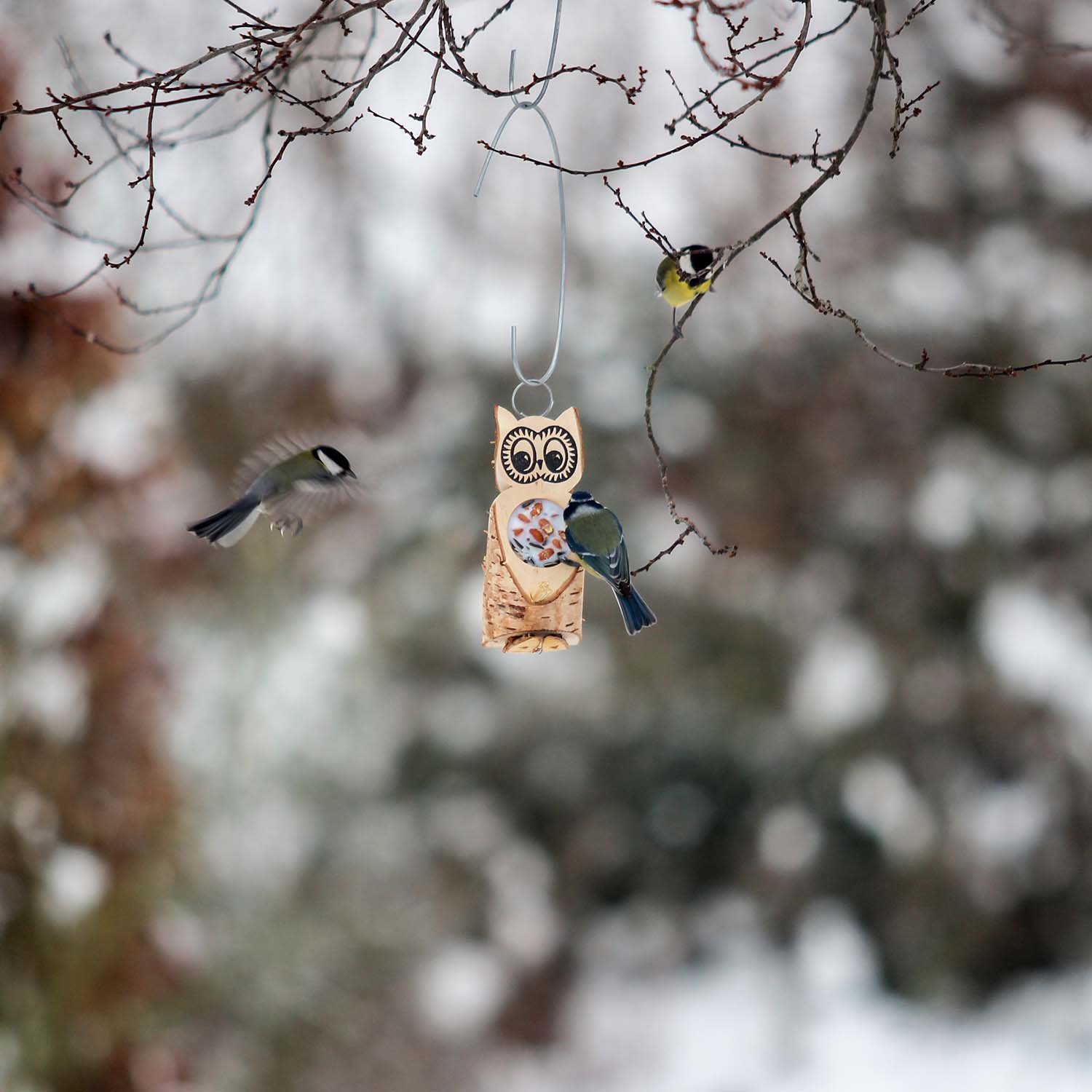 Futtereule klein mit einem Futterloch aus Vogelfutter und Rindertalg