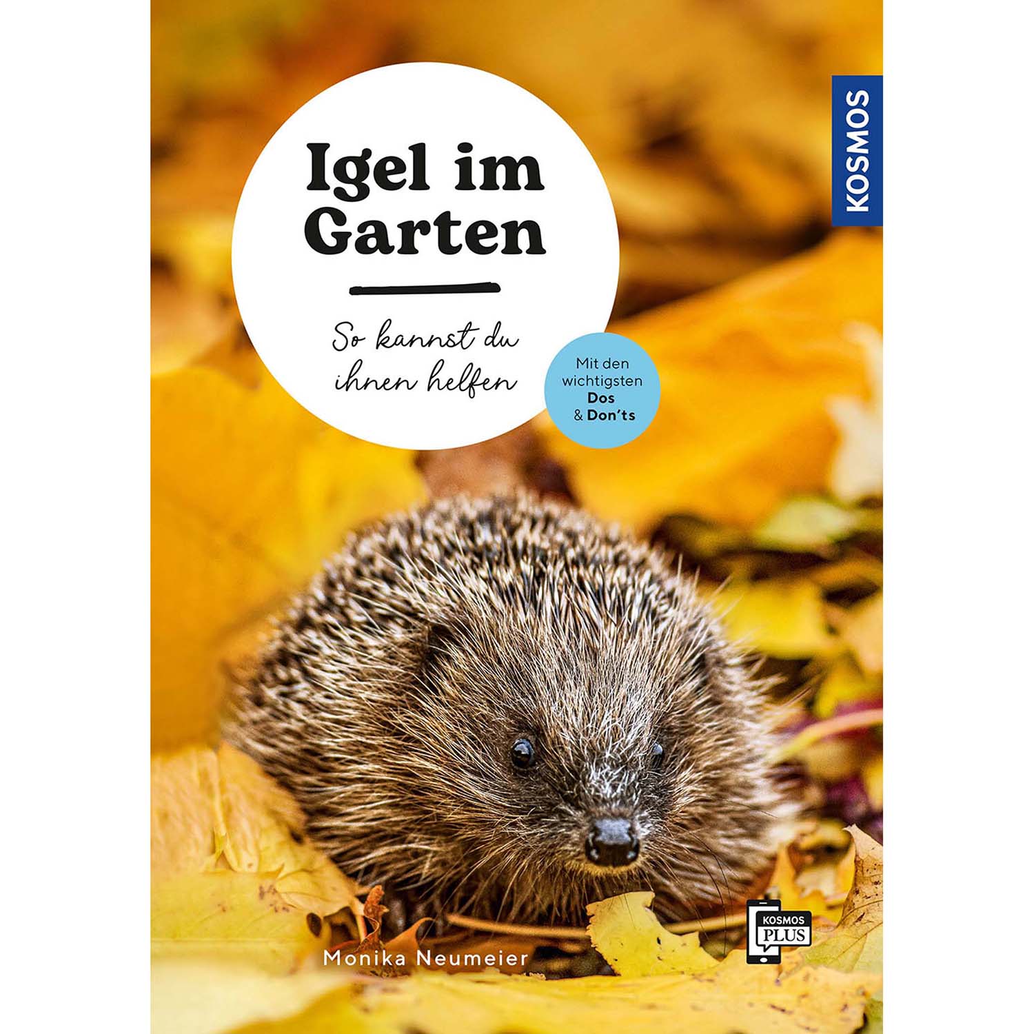 Igel im Garten - So kannst du ihnen helfen - Kosmos