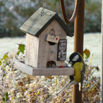 Vogelpfeife Kohlmeise