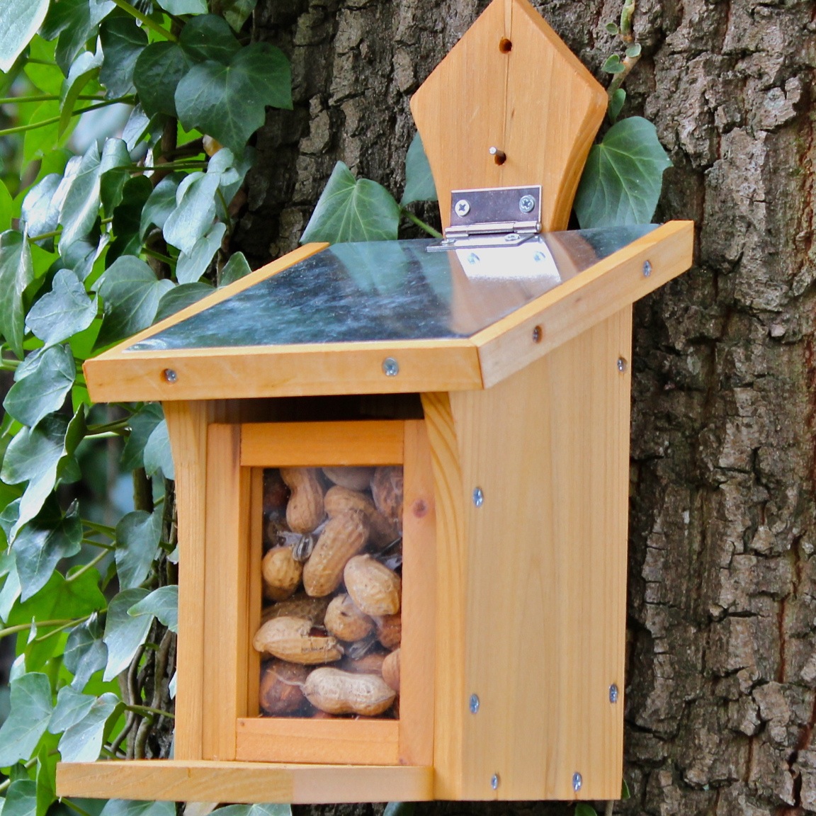 Eichhörnchen Nuss-Bar natur BAUSATZ