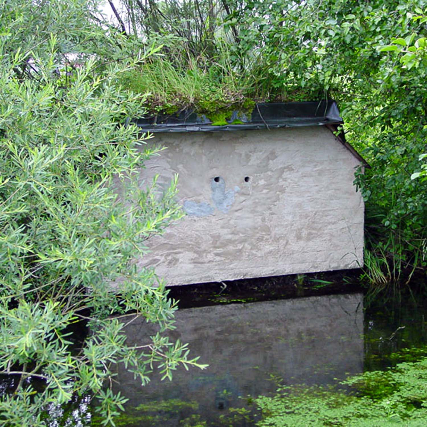 Schwegler Eisvogel-/ Uferschwalbenbrutröhre