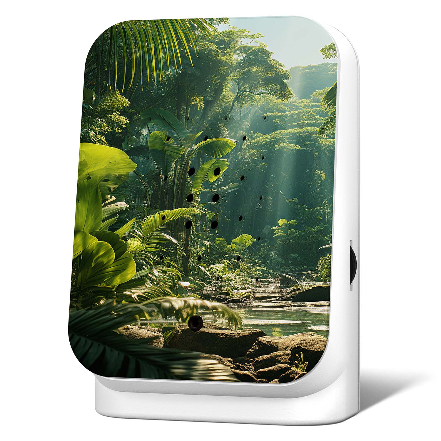 Junglebox Maliau - Dschungel-Sound