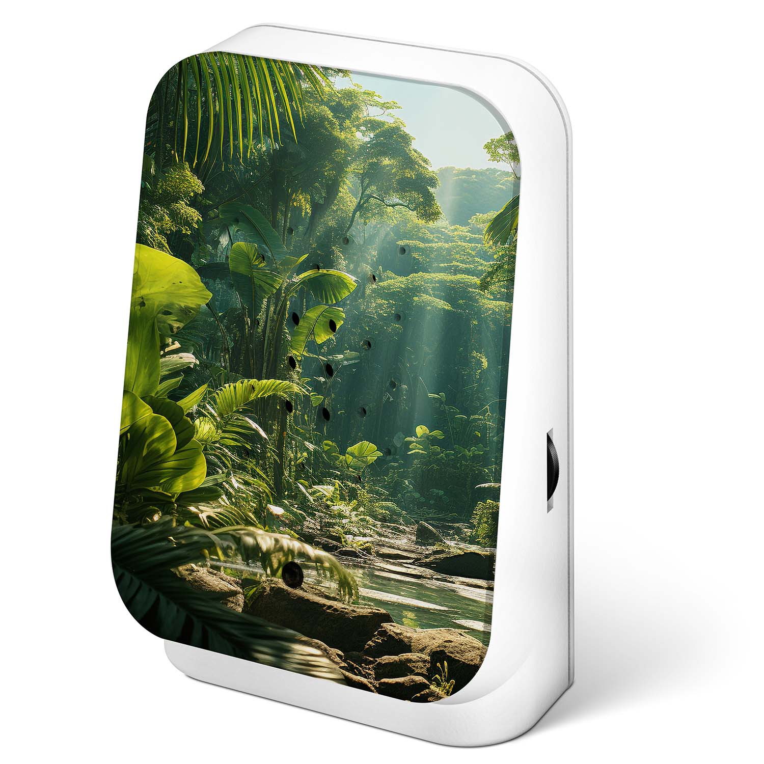 Junglebox Maliau - Dschungel-Sound