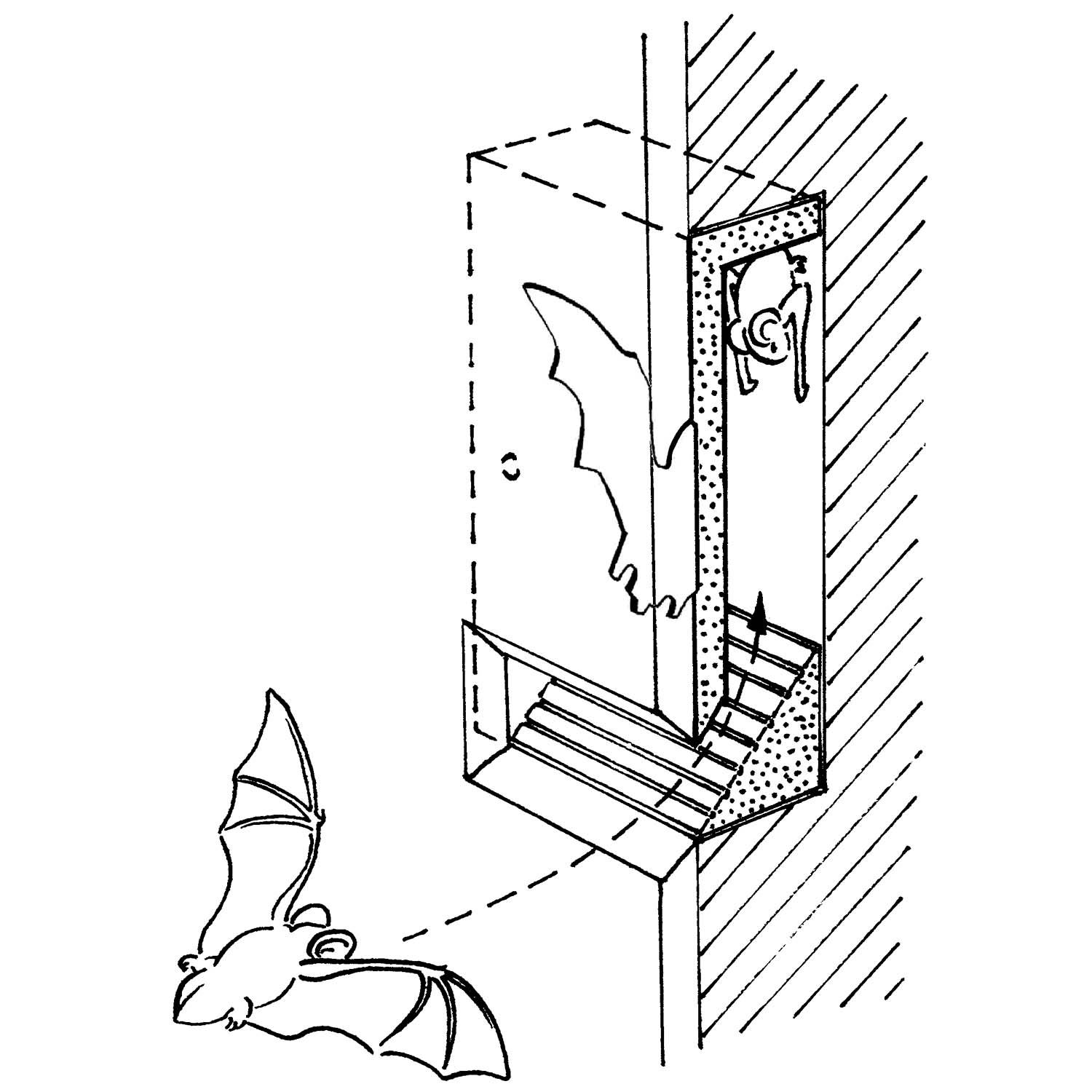 Schwegler Fledermaus-Einlaufblende 1FE zum Einbau in Wände