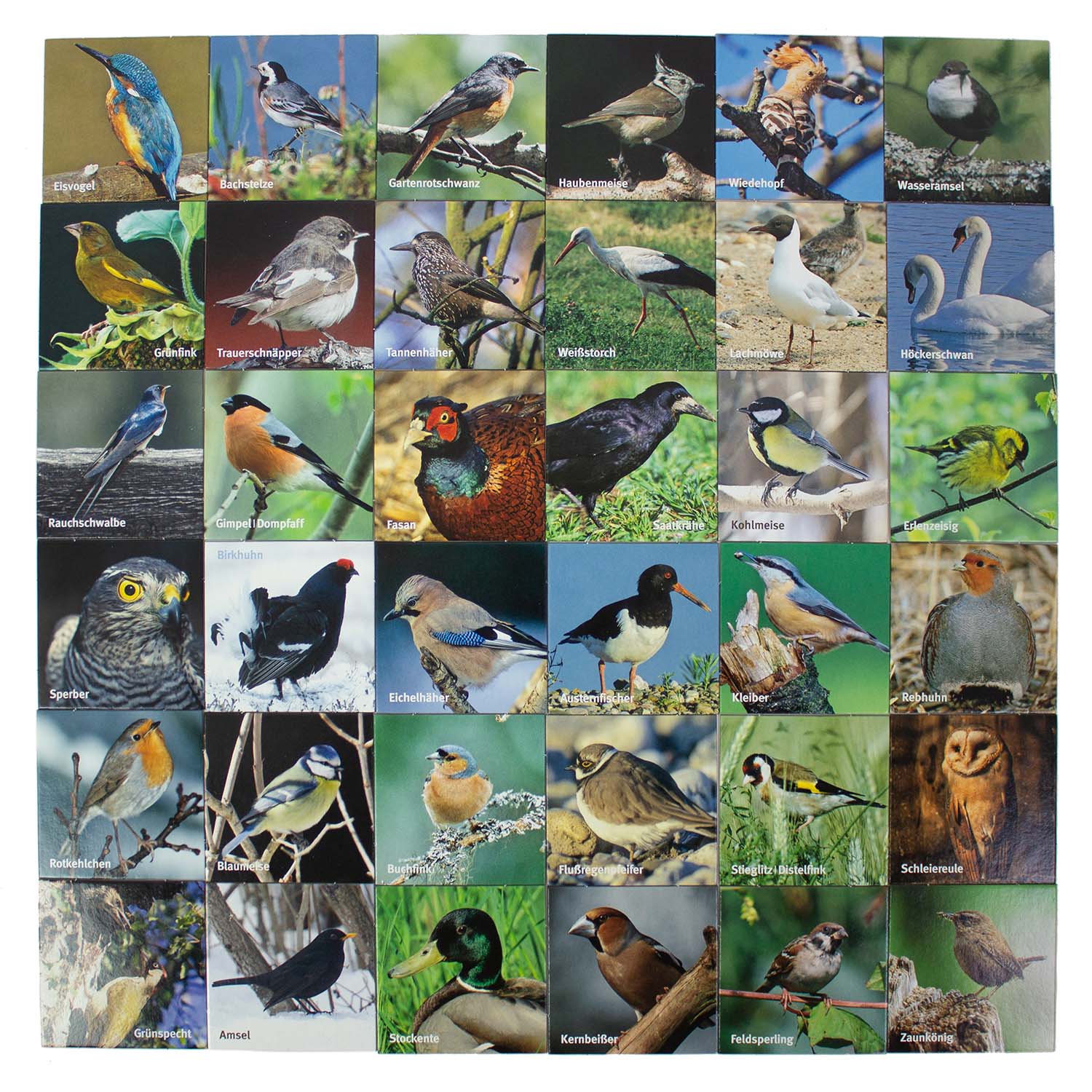 Merk-Spiel einheimische Vögel Vogelkunde 36 Bildpaare