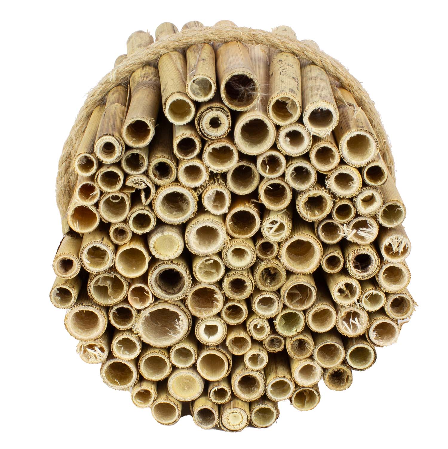 Insektenhotel 6 x Bausatz Schilfrohre für Insektenhotels