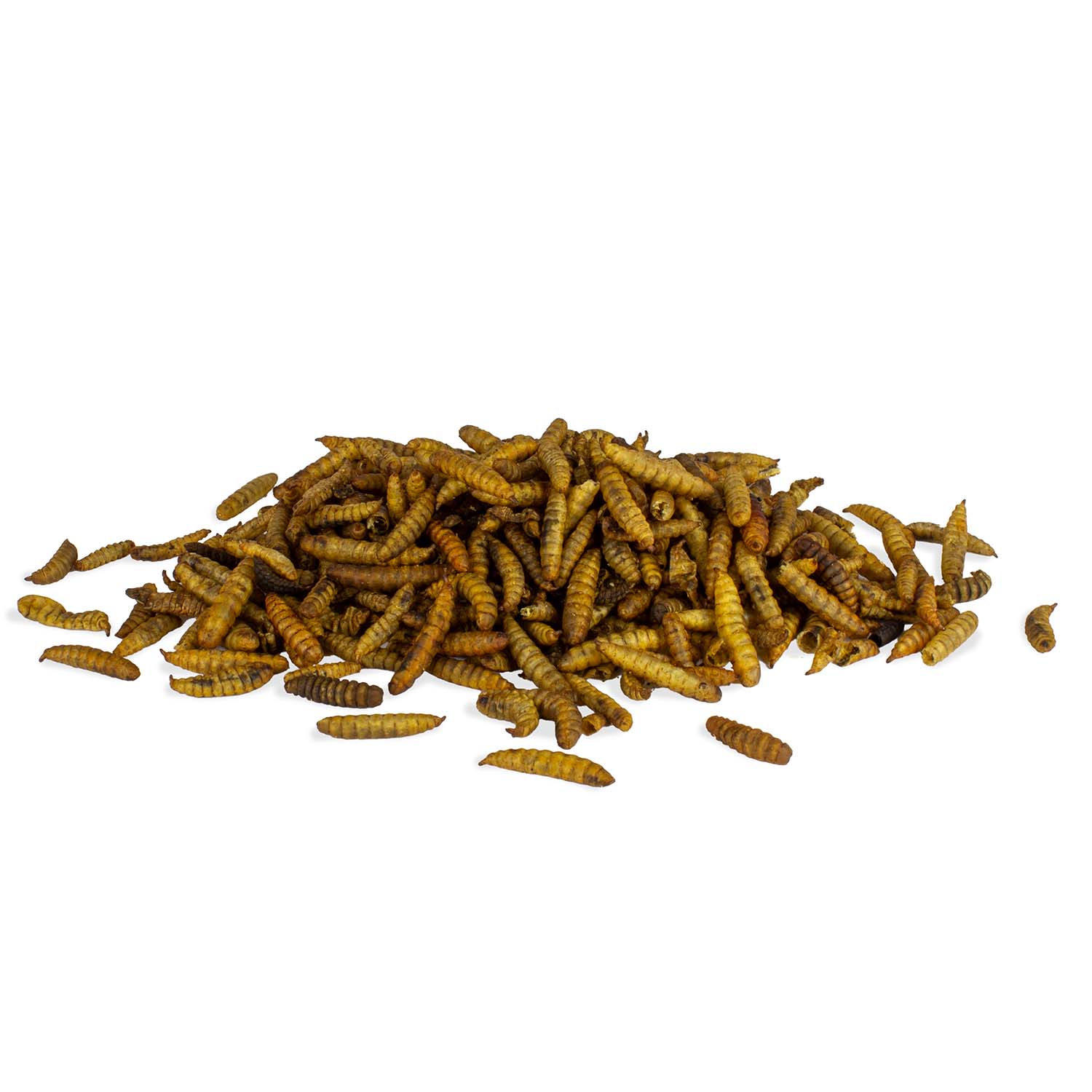 Soldatenfliegenlarven 5 kg