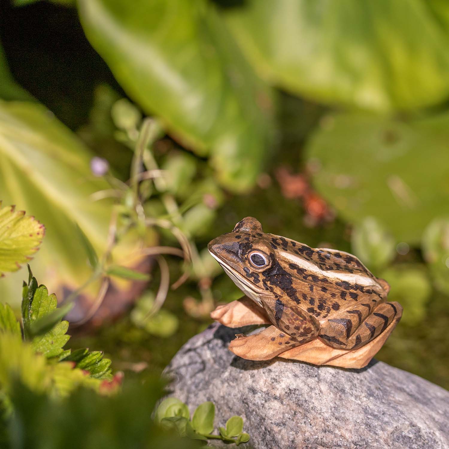Moorfrosch handgeschnitzt