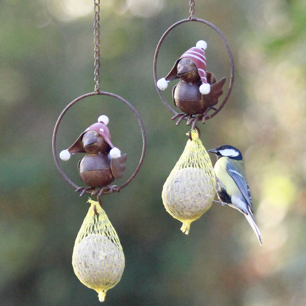 Vogel im Ring (2er Set) - Meisenknödelhalter