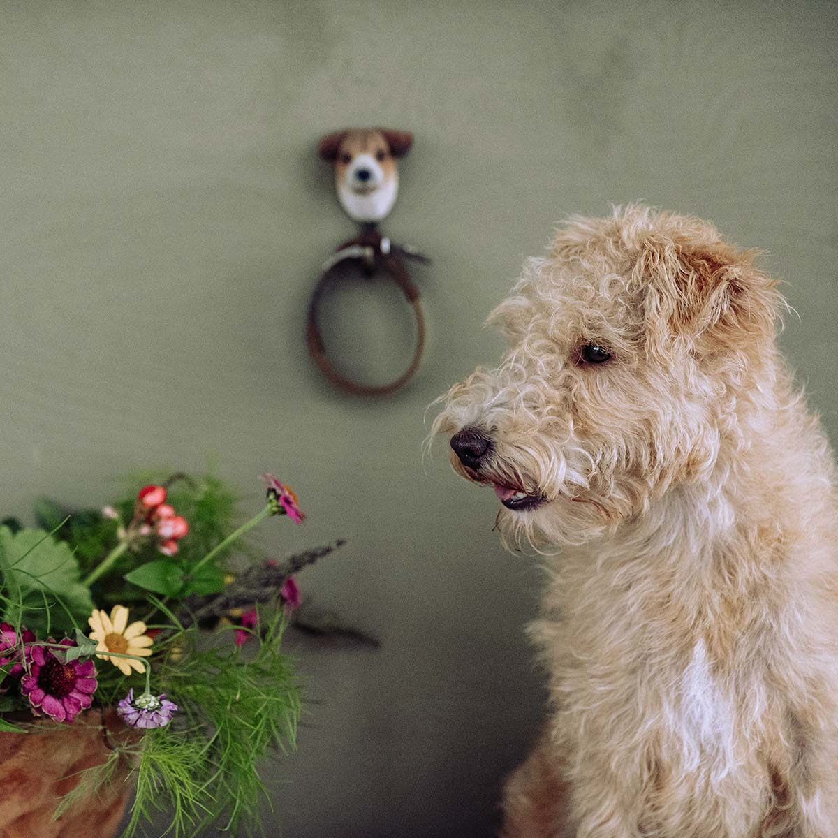 Wildlife Garden Haken Jack Russell Terrier