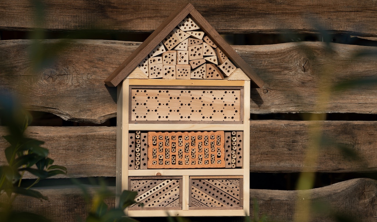 Insektenhotel richtig aufhängen