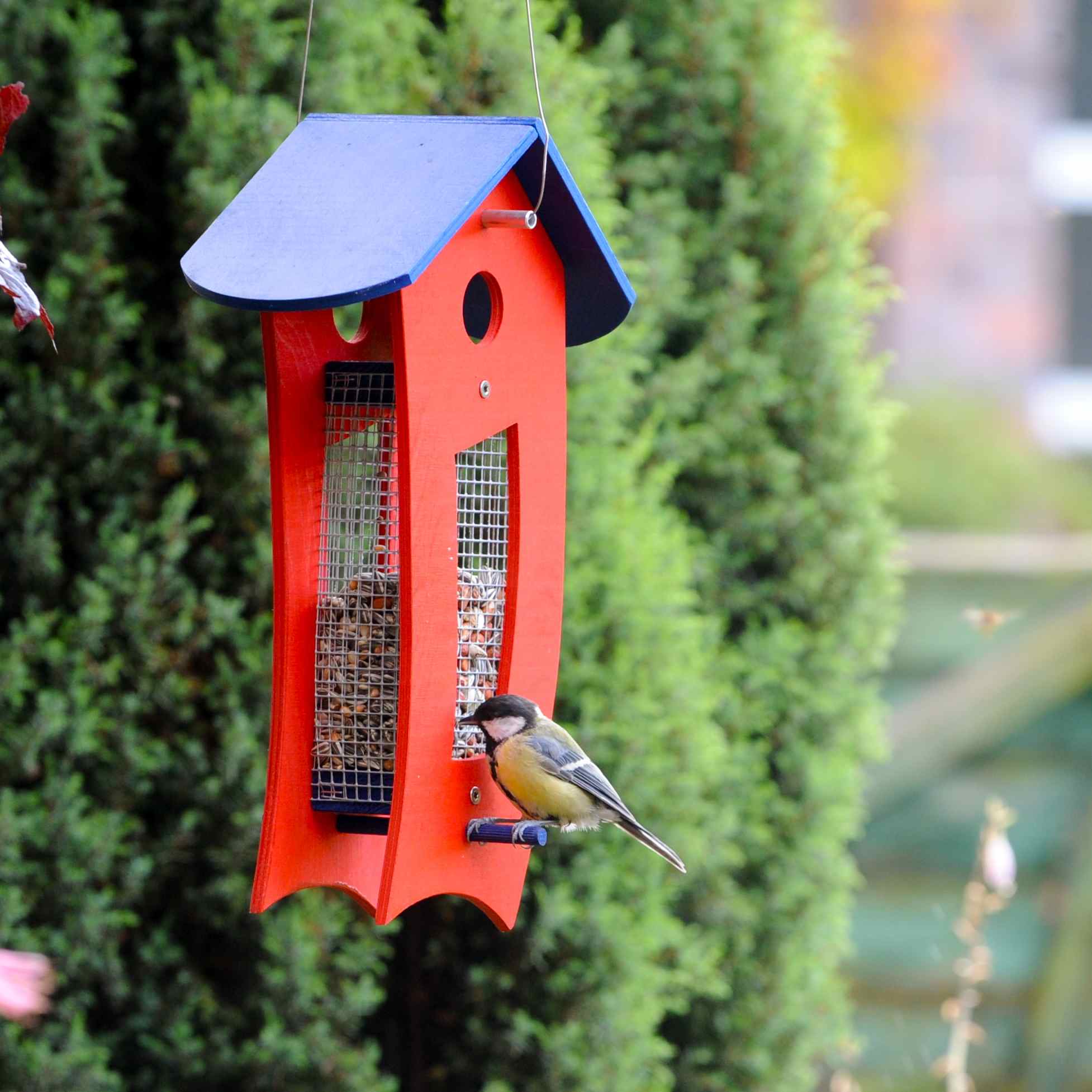 Futterspender rot - Futtersilo für loses Vogelfutter