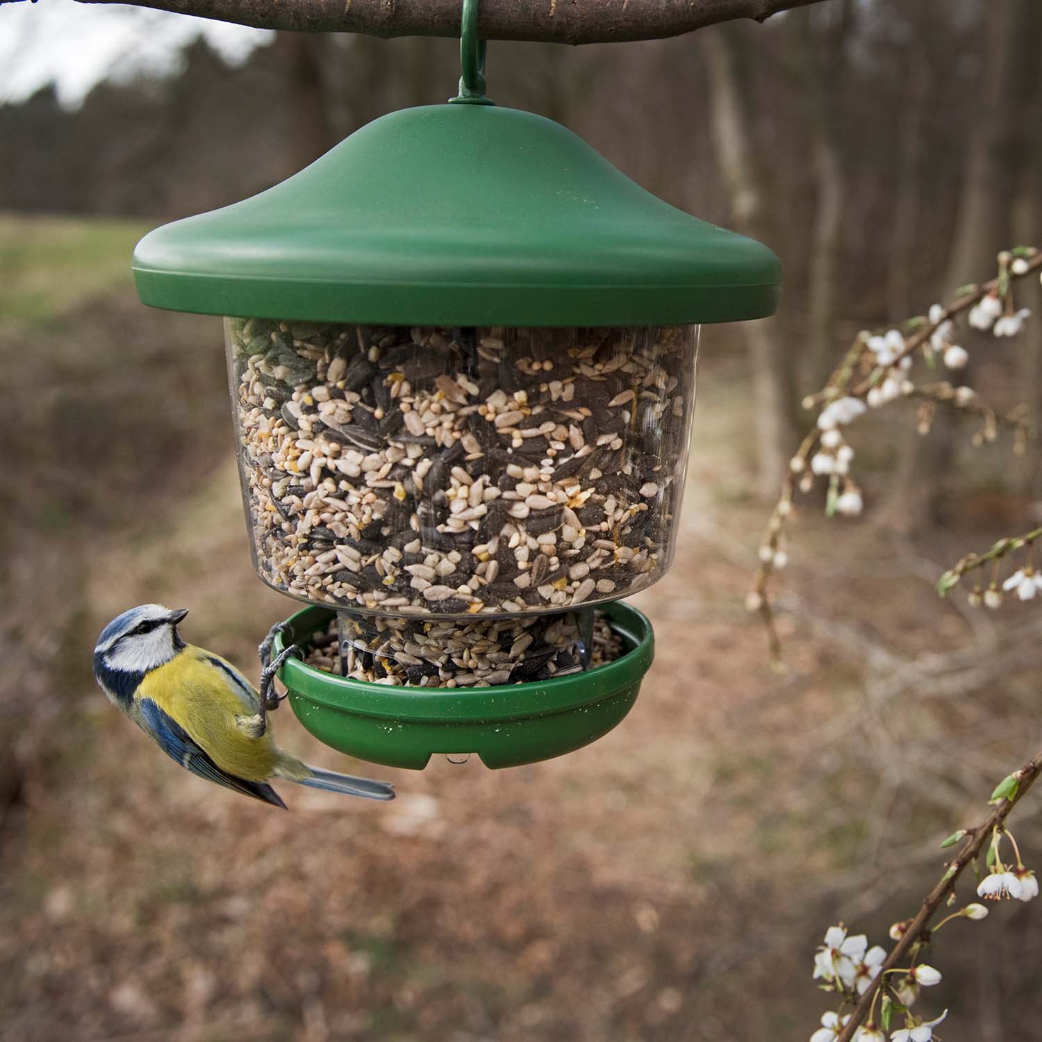 Schwegler Futterlampe für loses Vogelfutter