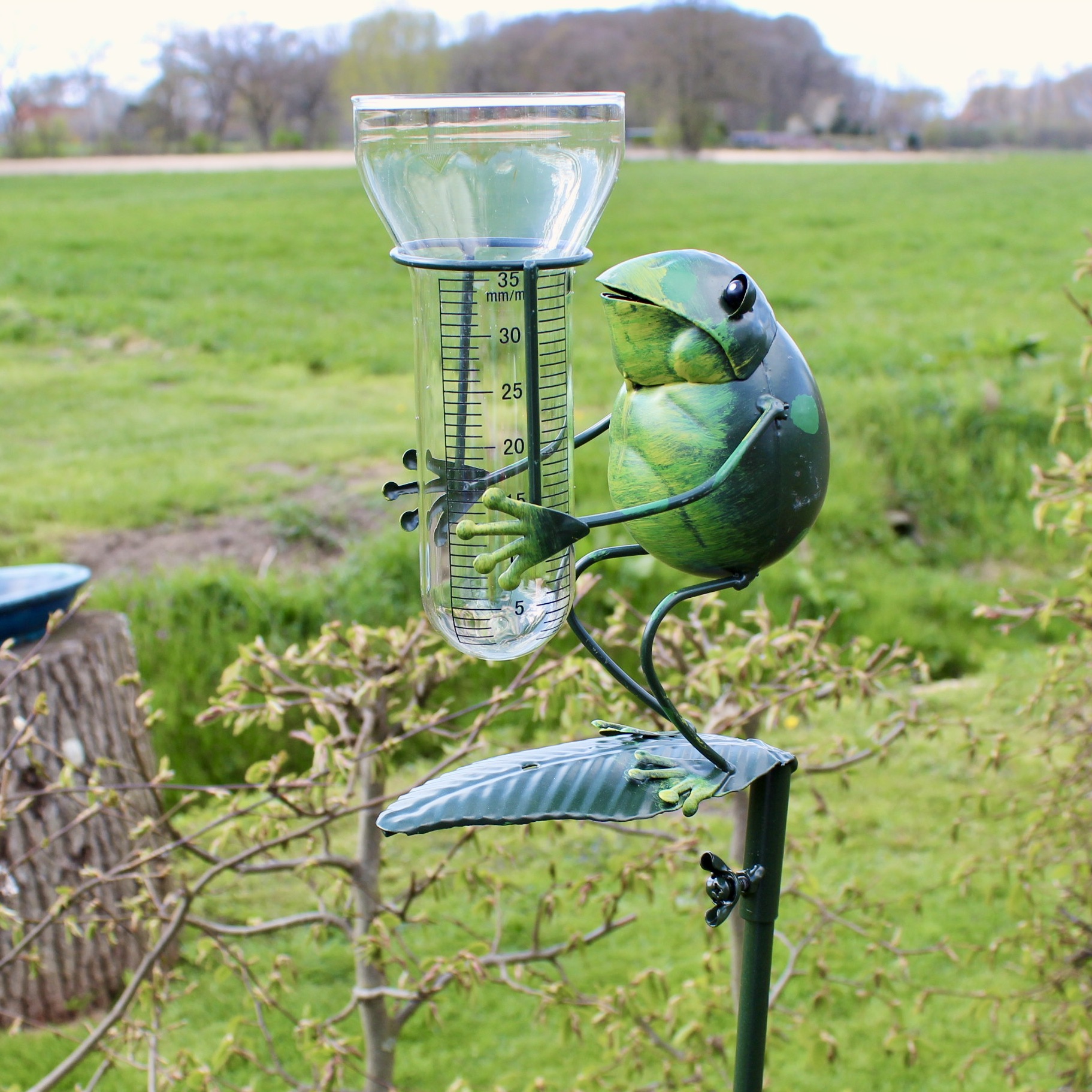 Regenmesser Blattfrosch Gartenstecker
